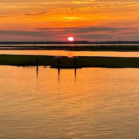 Visit to Chincoteague and Assateague