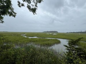 Expansive view of Eastern Shore salt marshes with winding waterways and distant tree line under partly cloudy sky