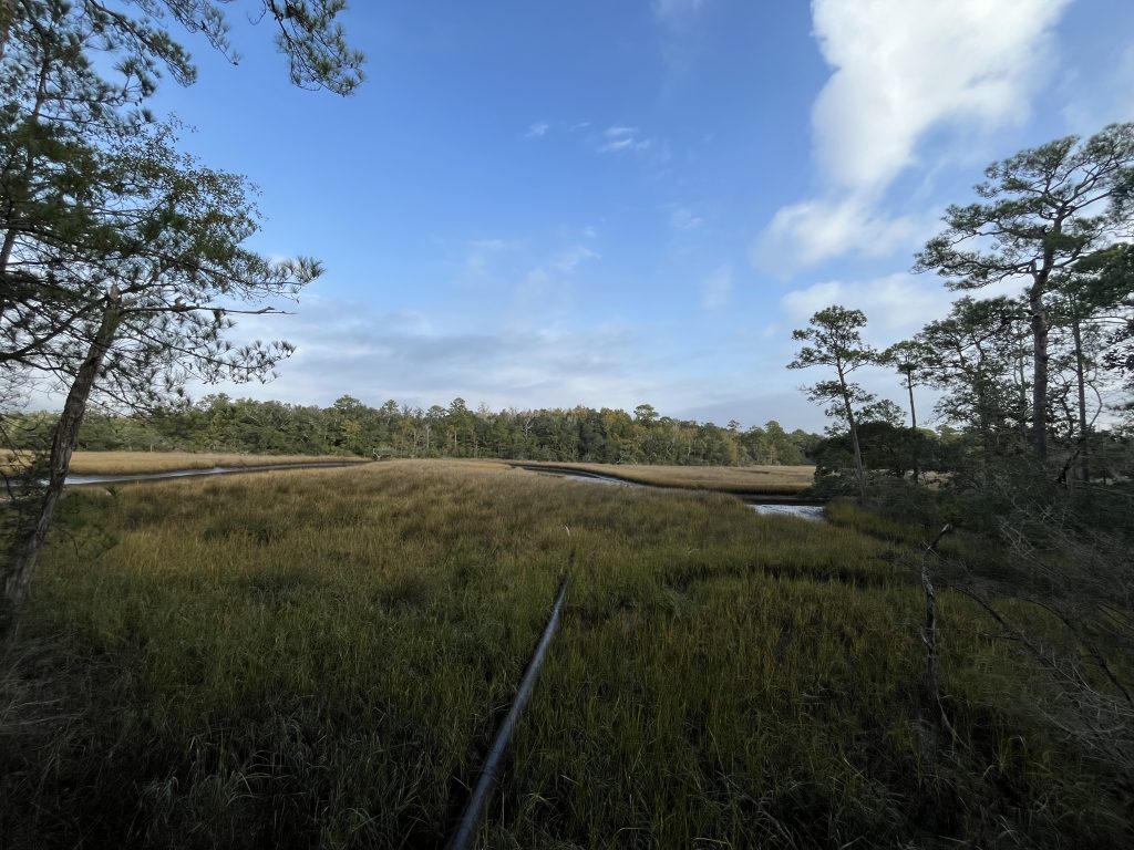 Gulf Islands National Seashore Visitor Center: Davis Bayou Guide 1 Winding boardwalk through tall salt marsh grasses at Gulf Islands National Seashore Davis Bayou Area.