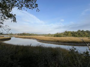 Panoramic view of salt marsh with winding waterway and tall grasses at Gulf Islands National Seashore Davis Bayou Area.