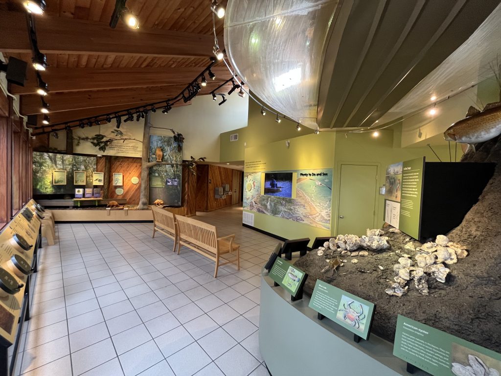 Gulf Islands National Seashore Visitor Center: Davis Bayou Guide 6 Exhibition room with natural history displays and exhibits at Gulf Islands National Seashore Davis Bayou Area.