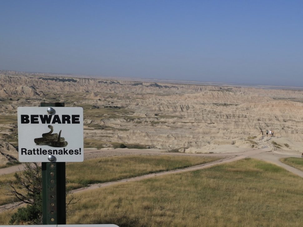 Beware Rattlesnakes warning sign at a Badlands overlook with eroded buttes stretching to the horizon