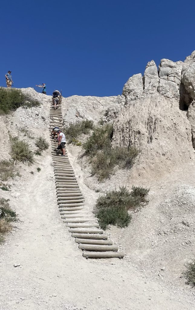 Long log ladder scaling a steep white rock face on the Notch Trail in Badlands National Park with hikers climbing
