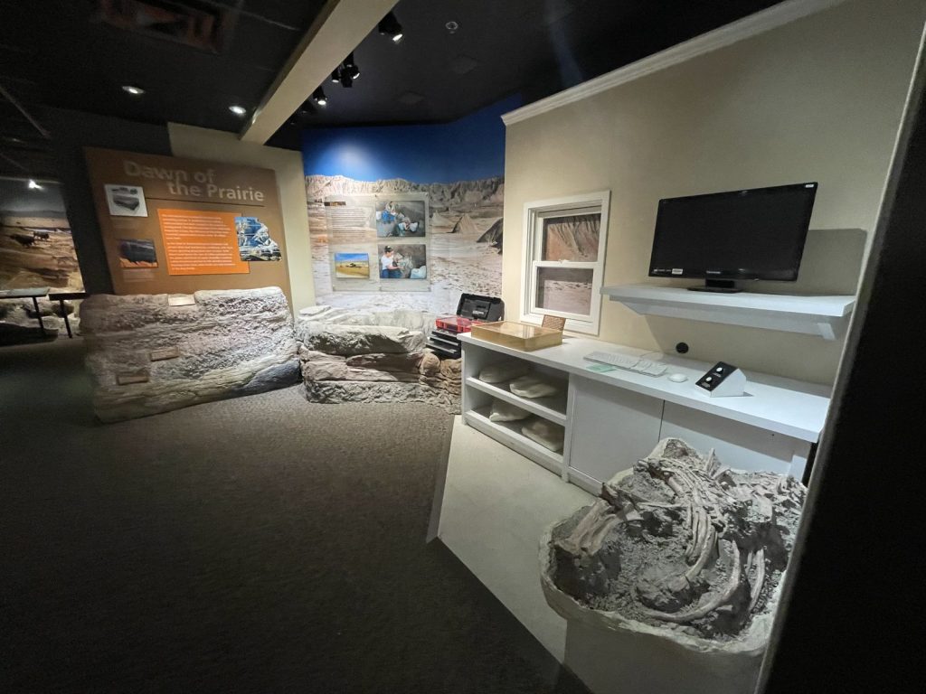 Prairie and fossil display exhibits inside Ben Reifel Visitor Center