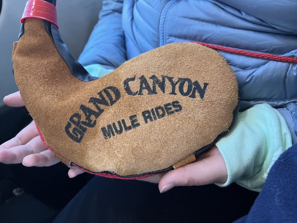 Grand Canyon Mule Ride Canteen