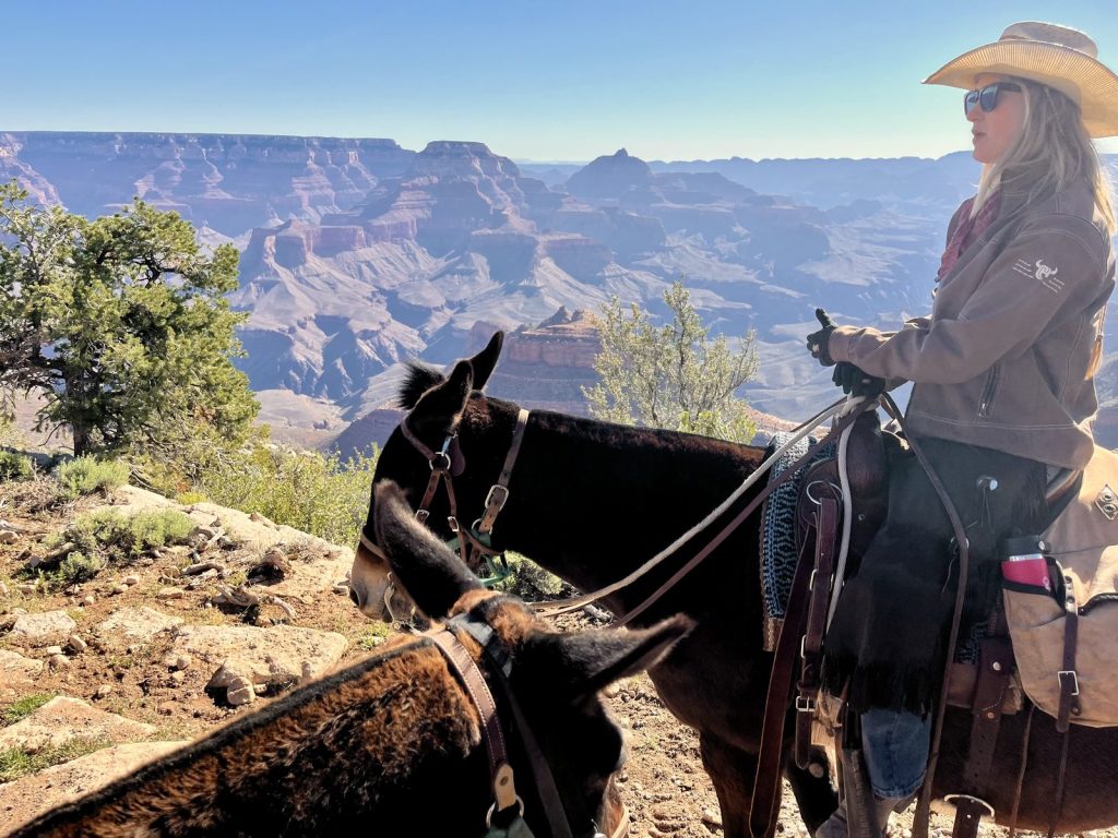 Rider on mule at Grand Canyon South Rim overlook with layered canyon walls behind