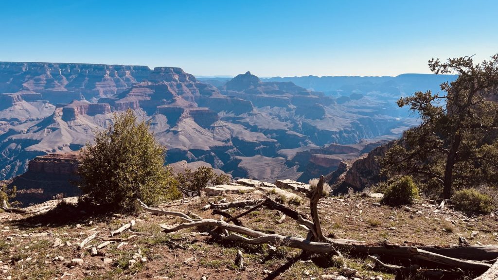 grand canyon south rim layered canyon vista mule ride stop