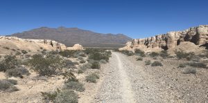 Wide scenic view of Tule Springs Fossil Beds gravel trail through desert arroyos with Spring Mountains visible in the distance