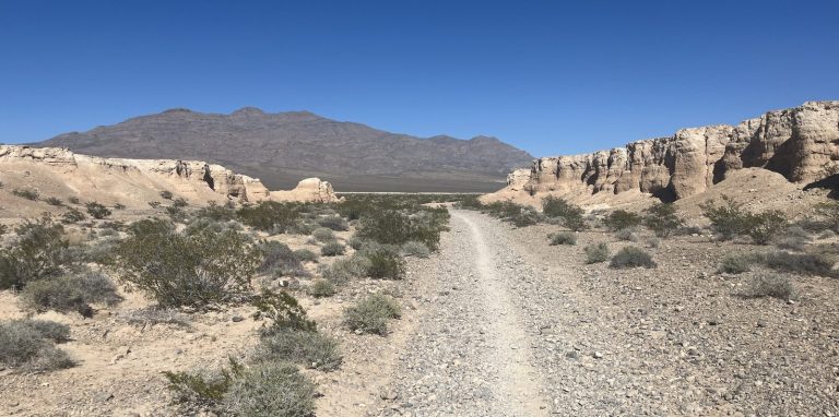 Wide scenic view of Tule Springs Fossil Beds gravel trail through desert arroyos with Spring Mountains visible in the distance
