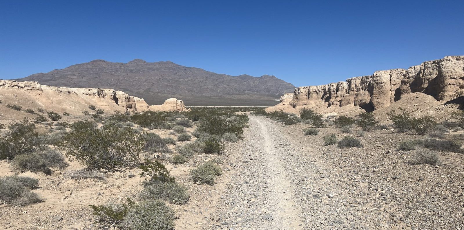 Tule Springs Fossil Beds National Monument: What to Expect